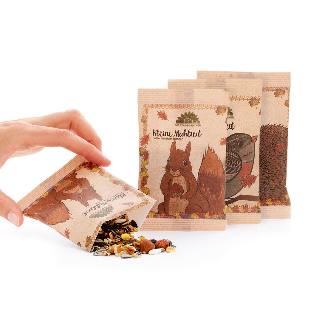3 kleine Mahlzeiten für Igel, Eichhörnchen & Vögel