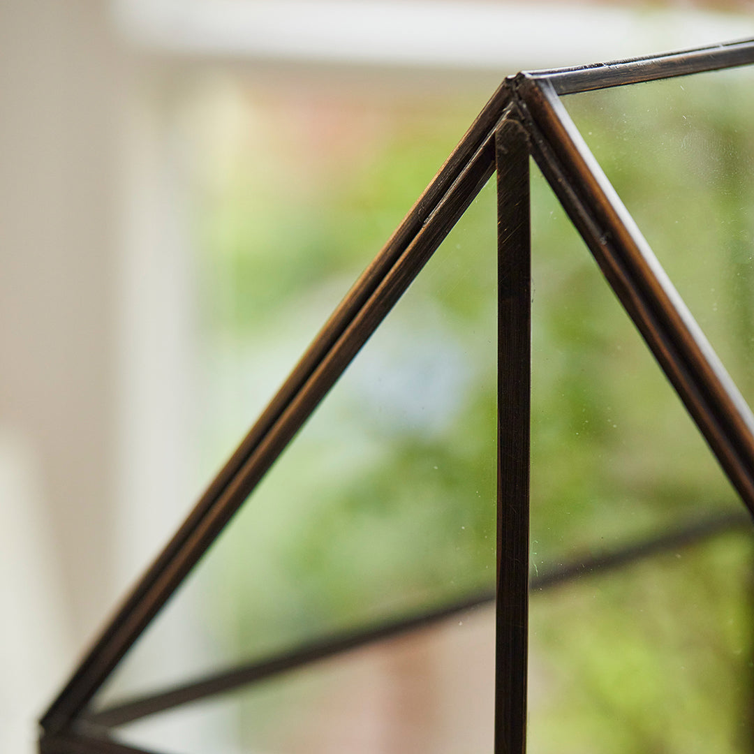 Hochwertiges Anzucht- und Gewächshaus