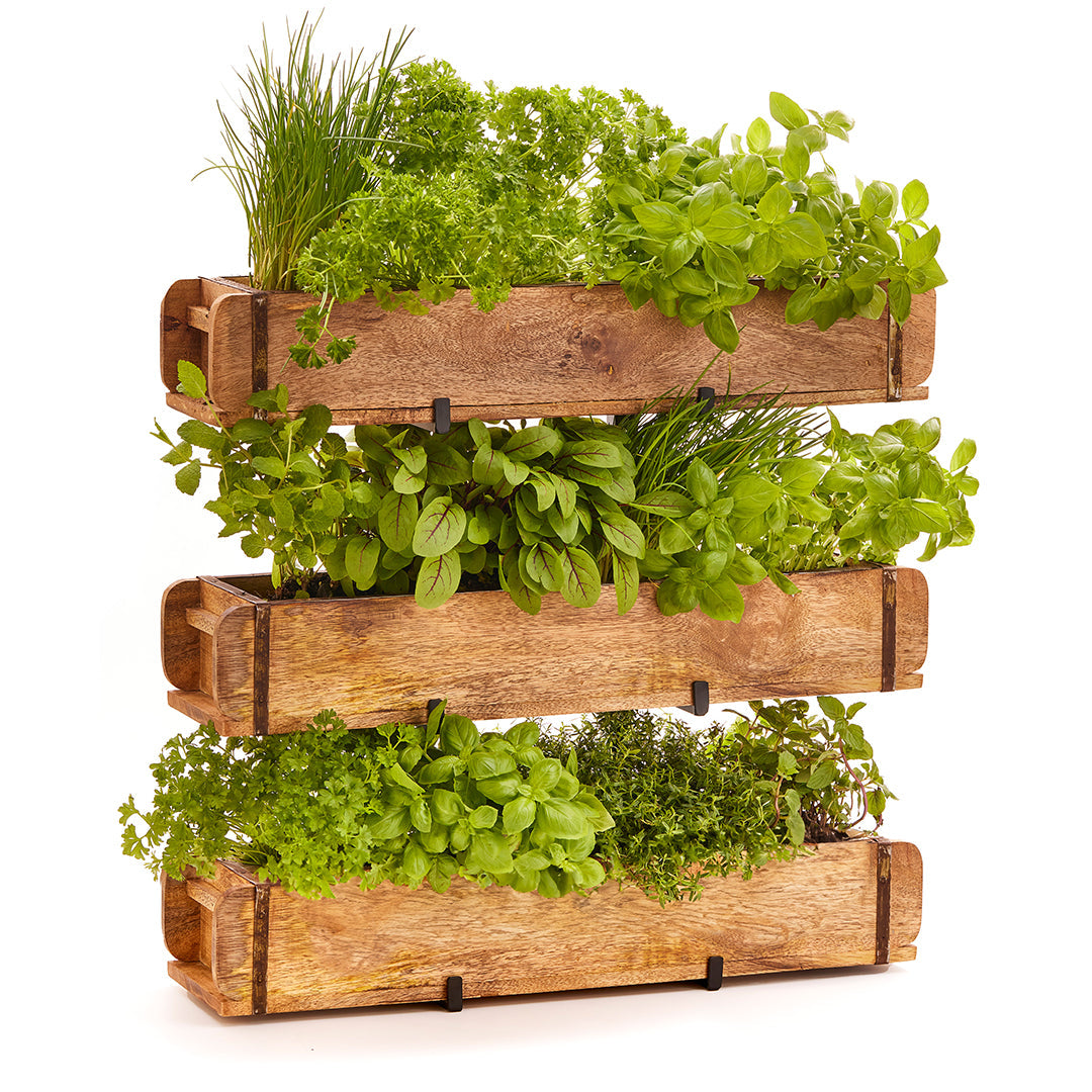 Set: 3 Ziegelformen (2 Fächer) mit Ständer