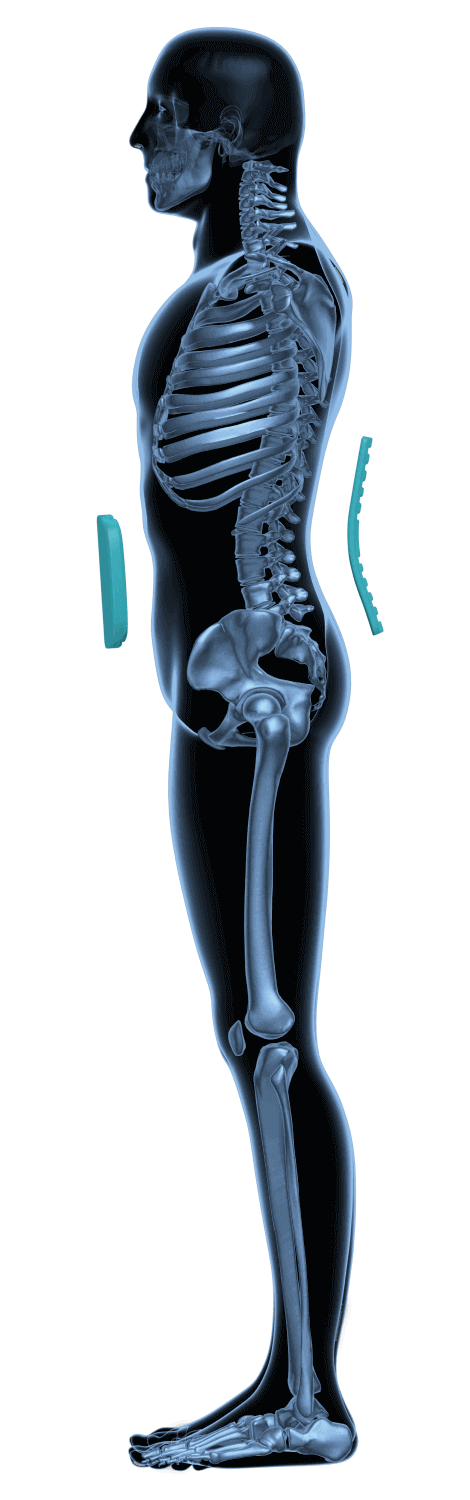 Lumbar Dual-Secure AccuTex - Oppo 2951