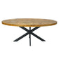Esstisch - oval 190x100cm - Esszimmer Tisch - Liverpool - Mangoholz massiv