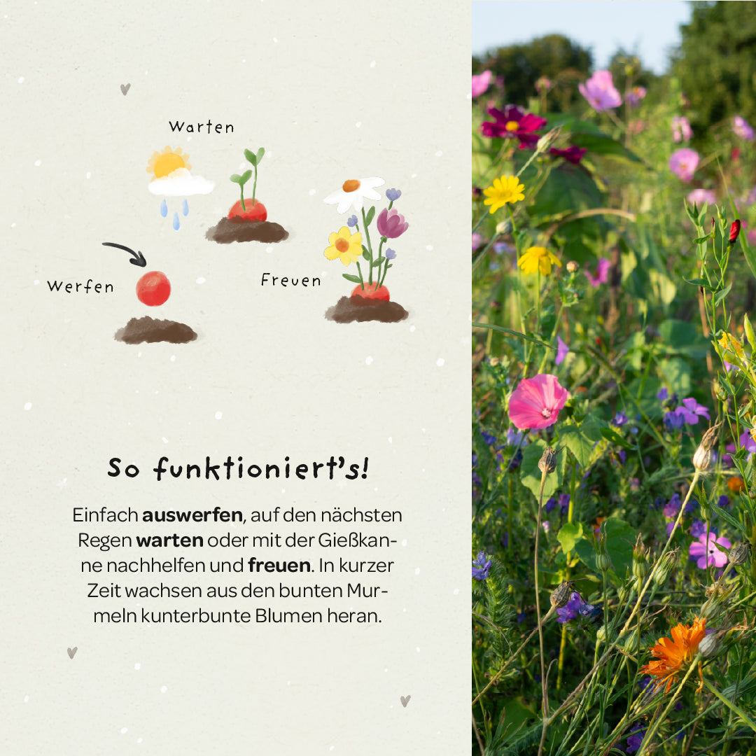 5 Blumenmurmeln im Tütchen zur Einschulung "Hipp Hipp Hurra!"