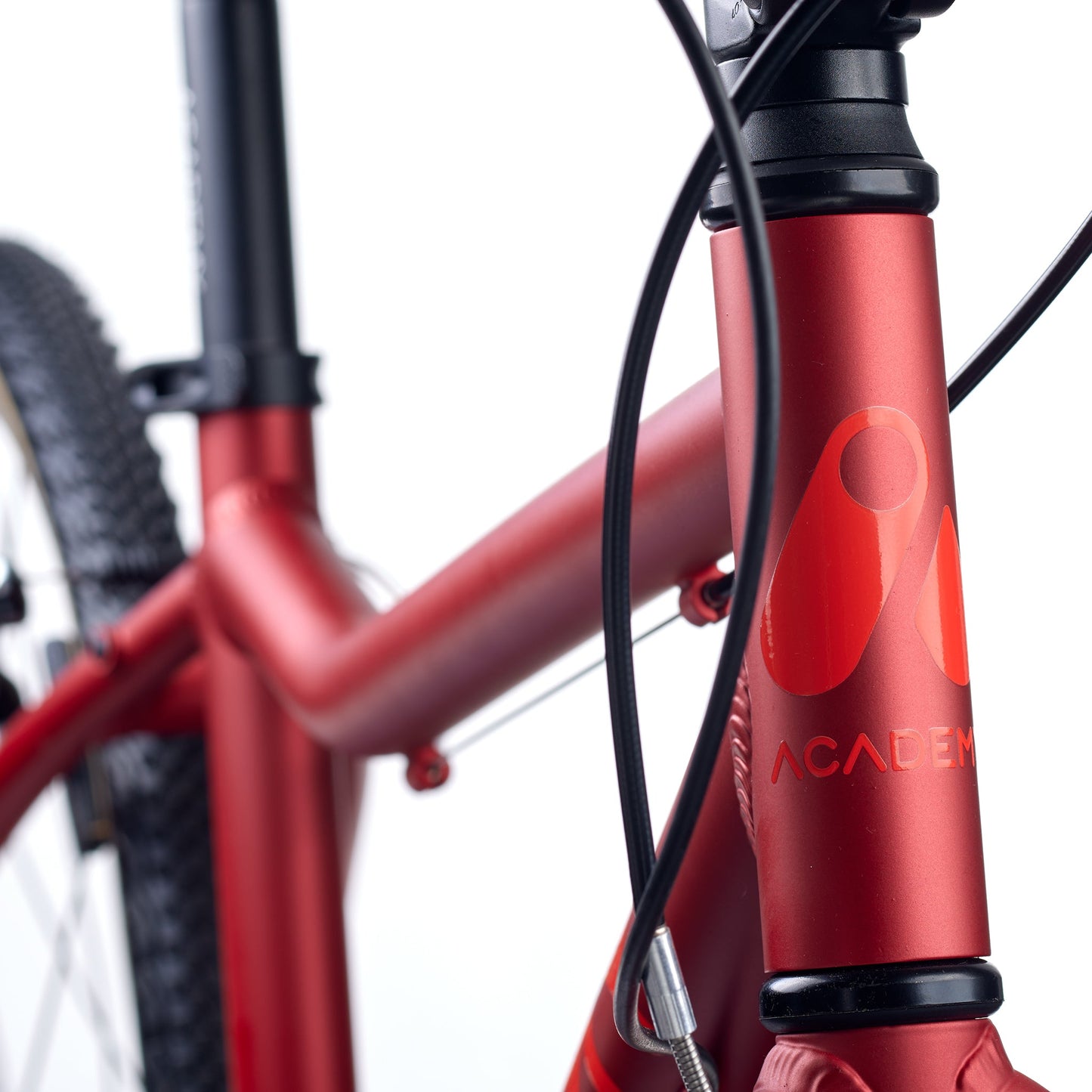 ACADEMY GRADE 5 - 24 Zoll Jugendfahrrad