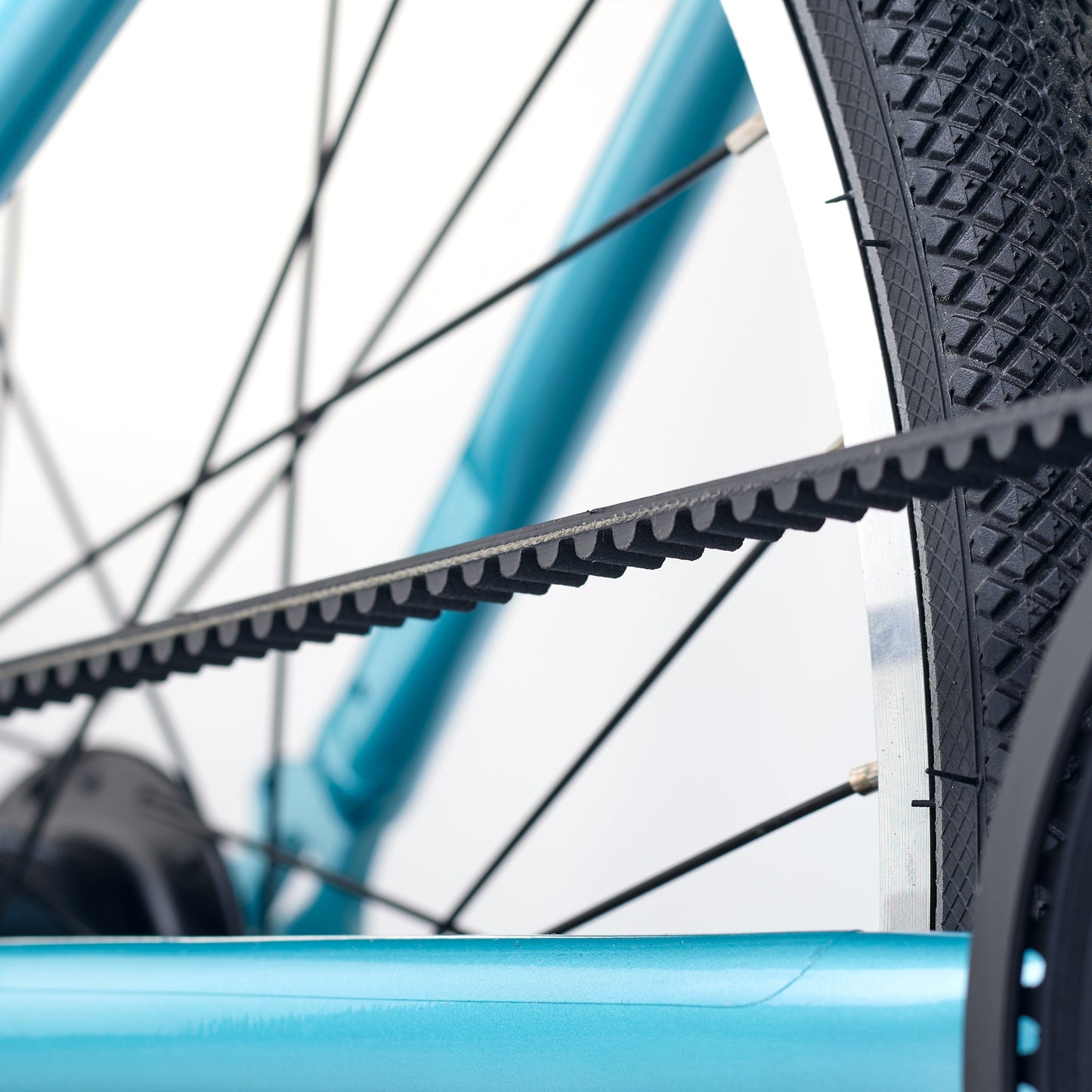 ACADEMY GRADE 5 belt - 24 Zoll Jugendfahrrad