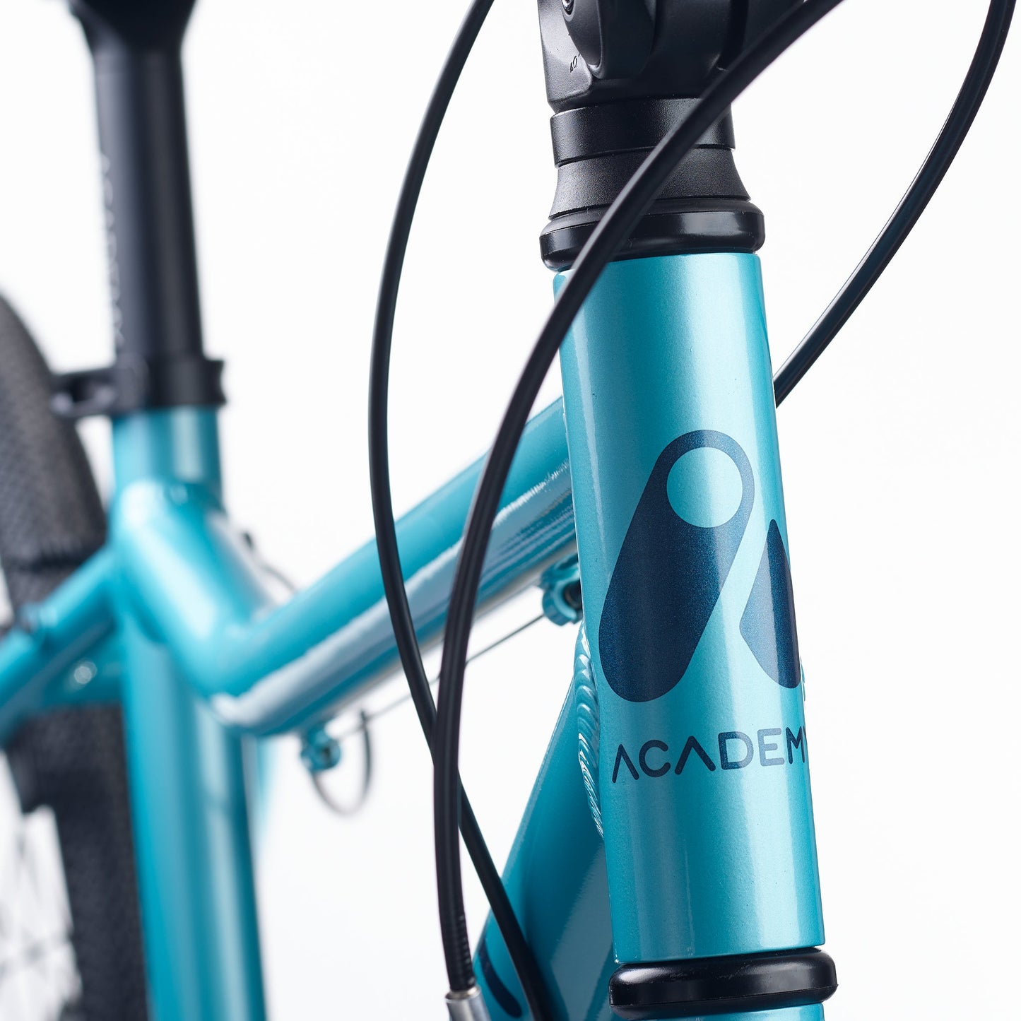 ACADEMY GRADE 5 belt - 24 Zoll Jugendfahrrad