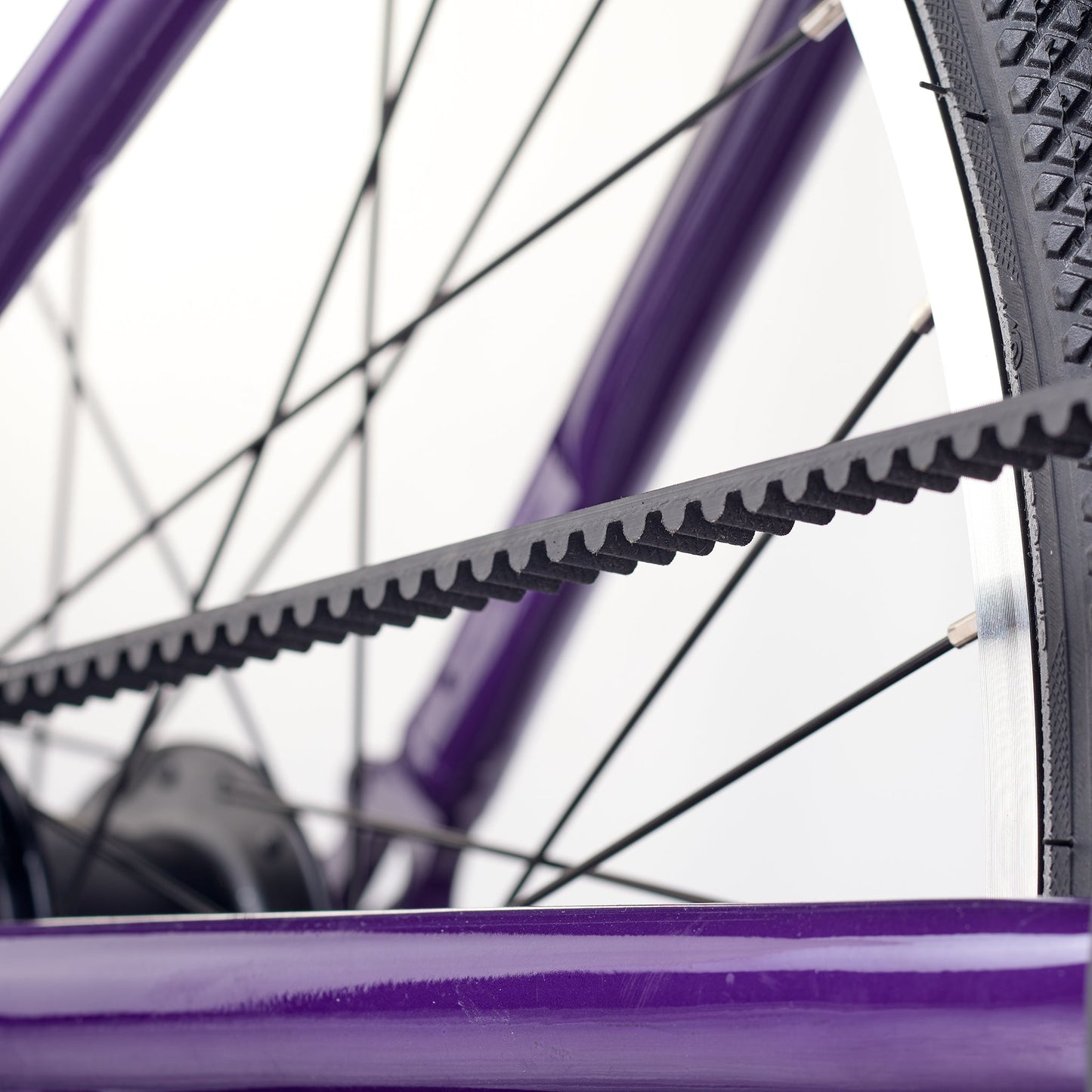 ACADEMY GRADE 5 belt - 24 Zoll Jugendfahrrad