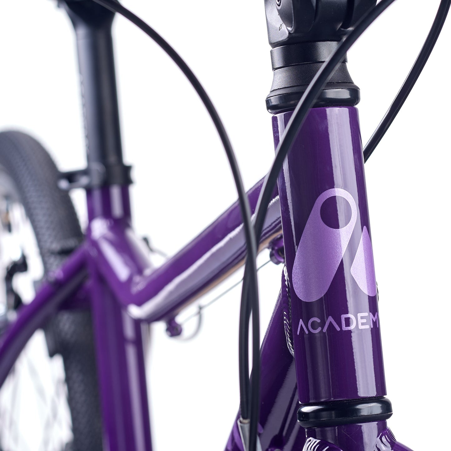 ACADEMY GRADE 5 belt - 24 Zoll Jugendfahrrad