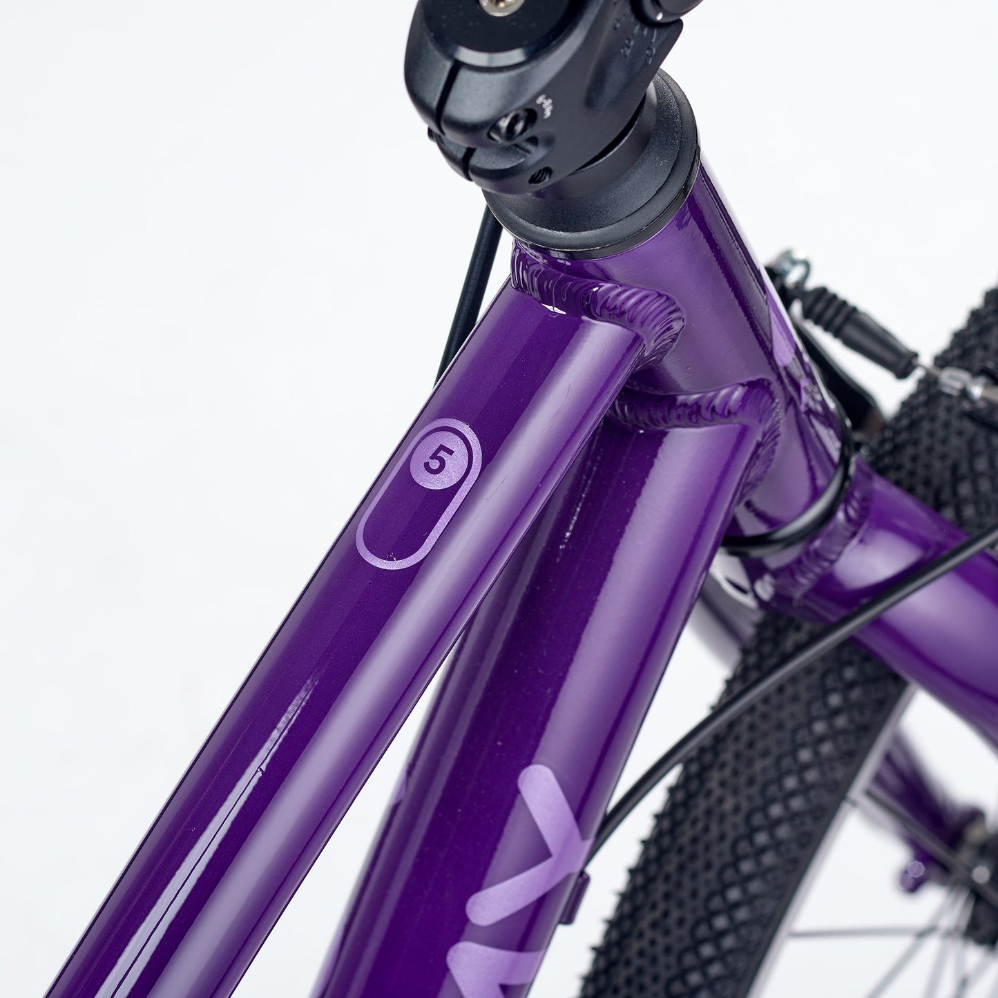 ACADEMY GRADE 5 belt - 24 Zoll Jugendfahrrad