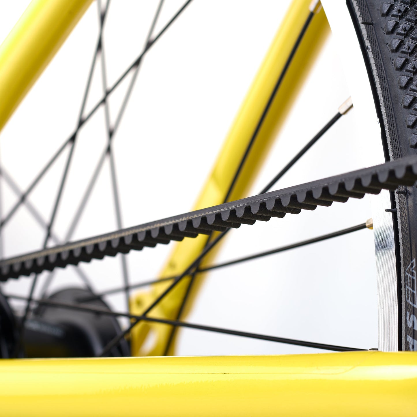 ACADEMY GRADE 5 belt - 24 Zoll Jugendfahrrad