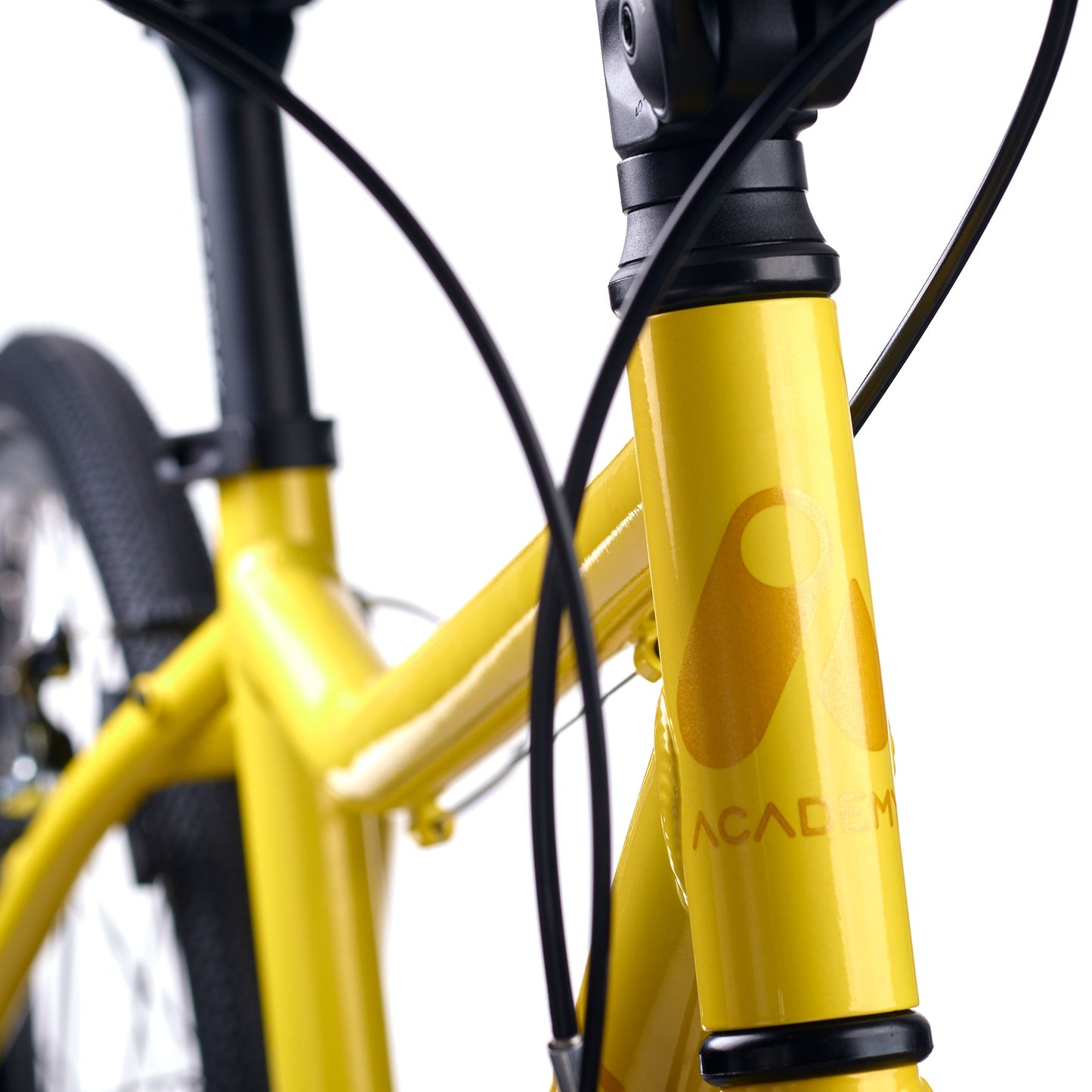 ACADEMY GRADE 5 belt - 24 Zoll Jugendfahrrad