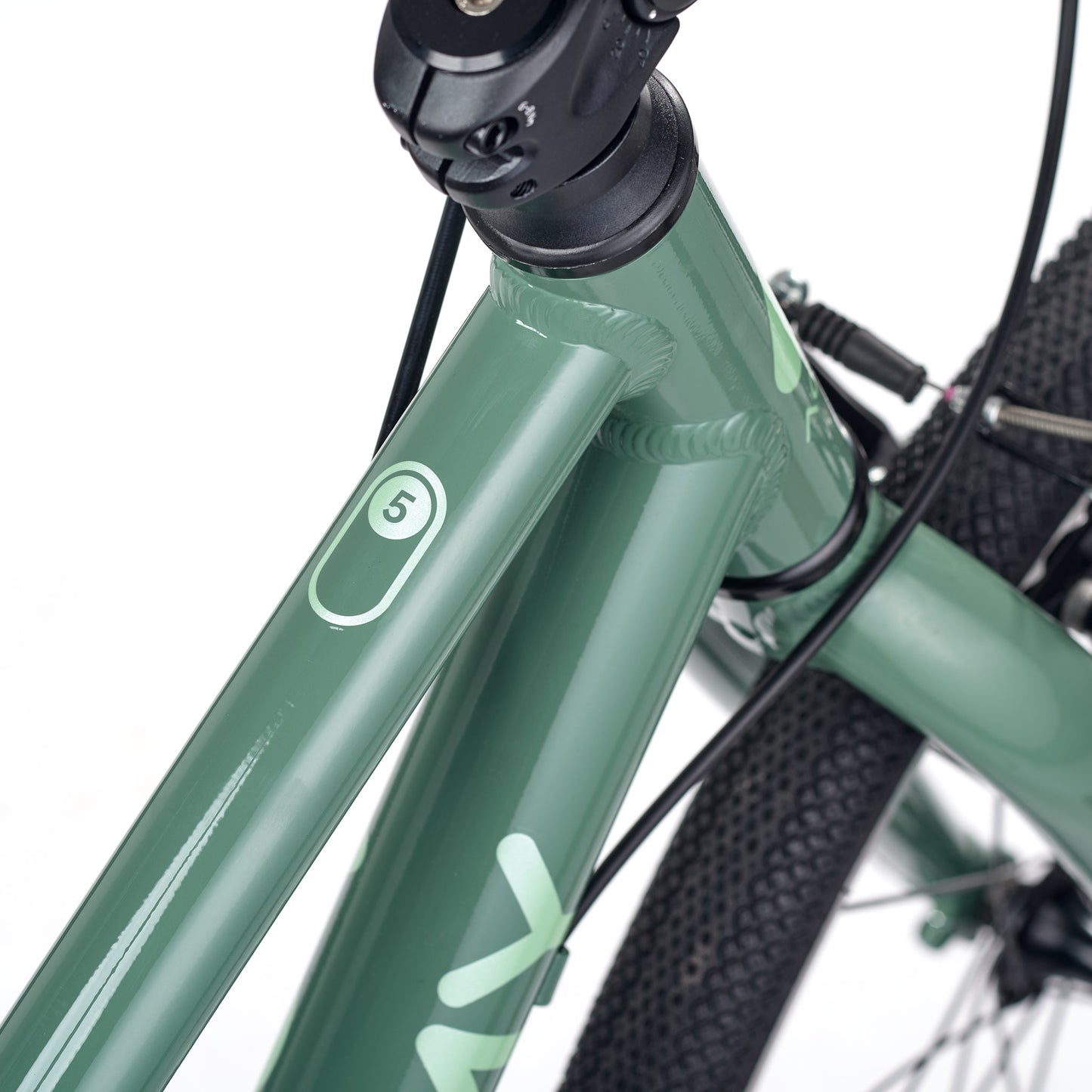 ACADEMY GRADE 5 belt - 24 Zoll Jugendfahrrad