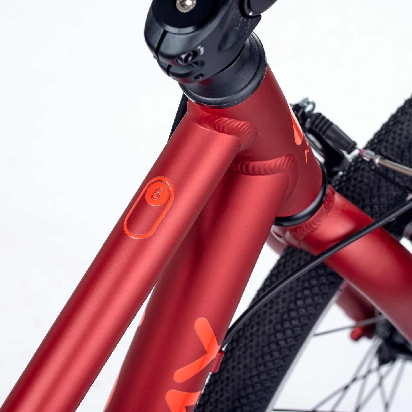 ACADEMY GRADE 5 belt - 24 Zoll Jugendfahrrad