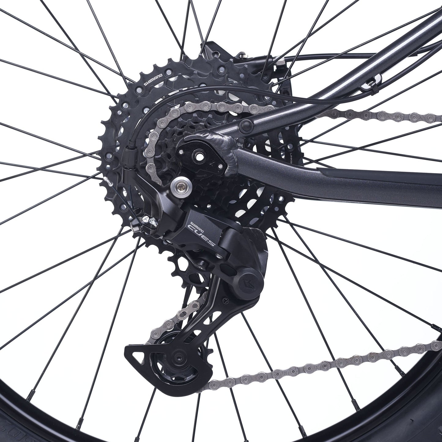 ACADEMY Trail 4 - 20 Zoll Kinderfahrrad