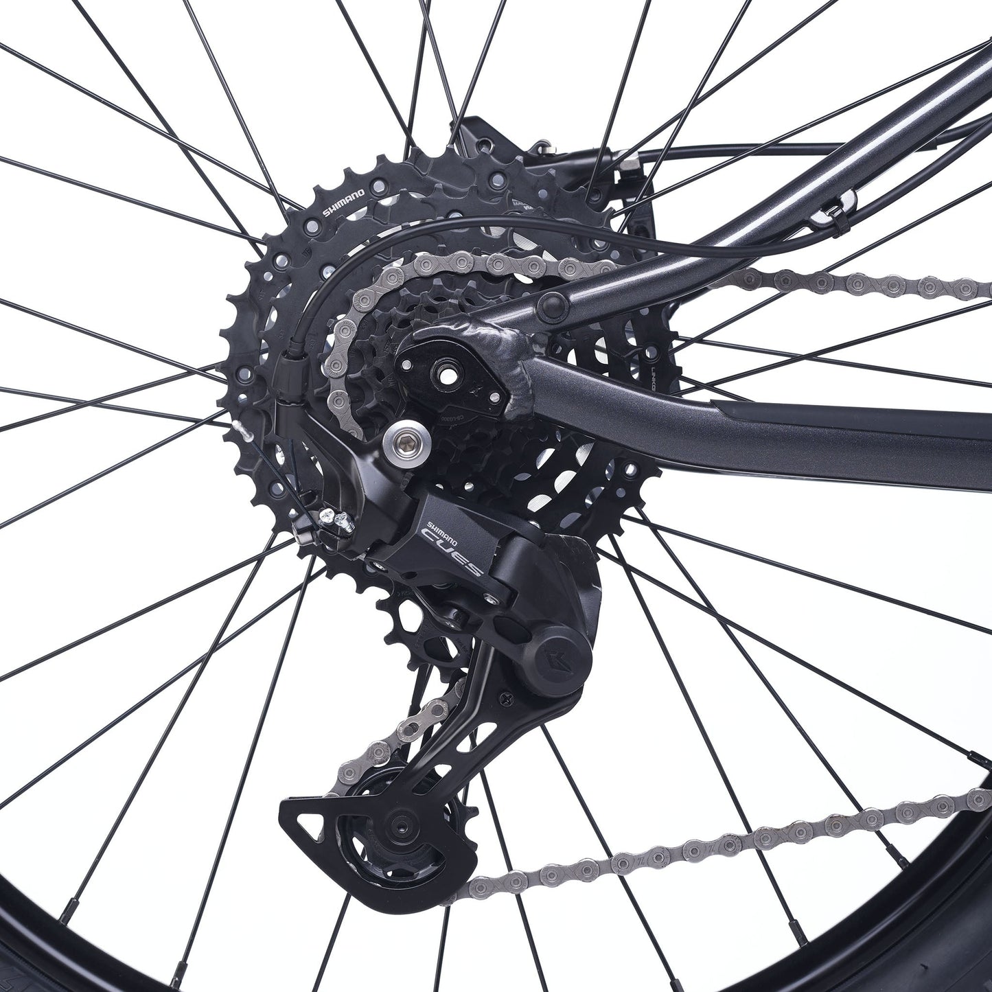 ACADEMY Trail 5 - 24 Zoll Jugendfahrrad