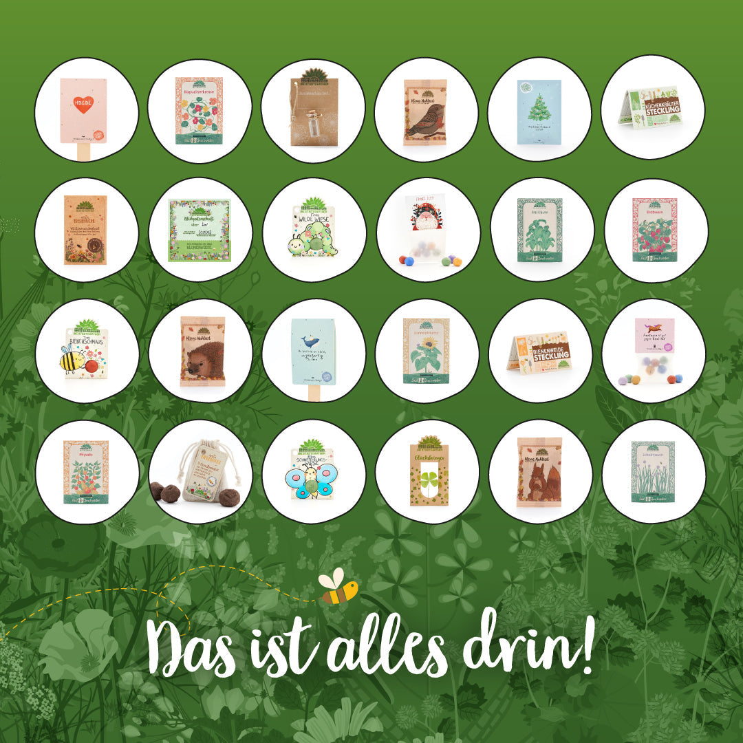 Stadtgärtner-Adventskalender "Naturerlebnis"