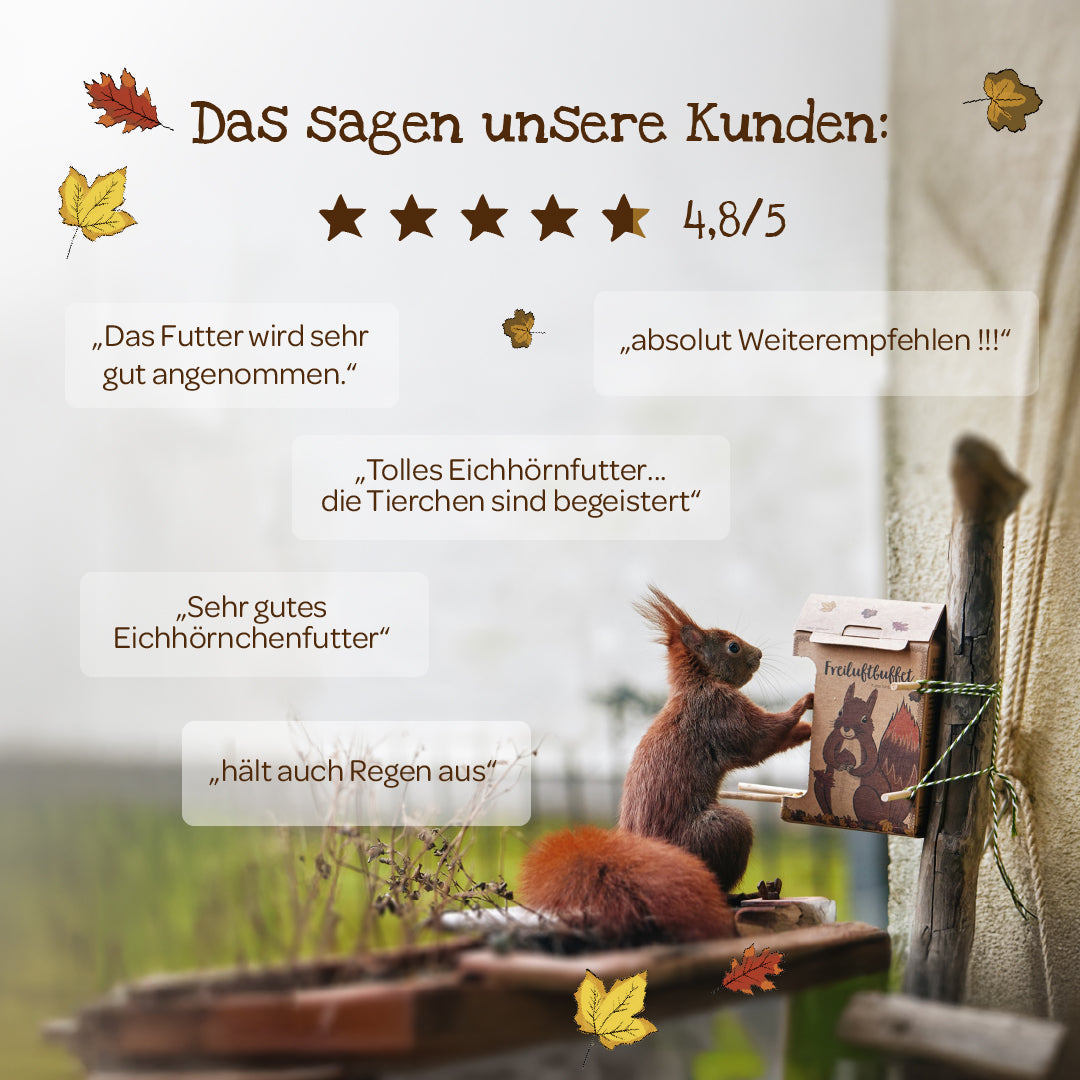 Freiluftbuffet für Eichhörnchen