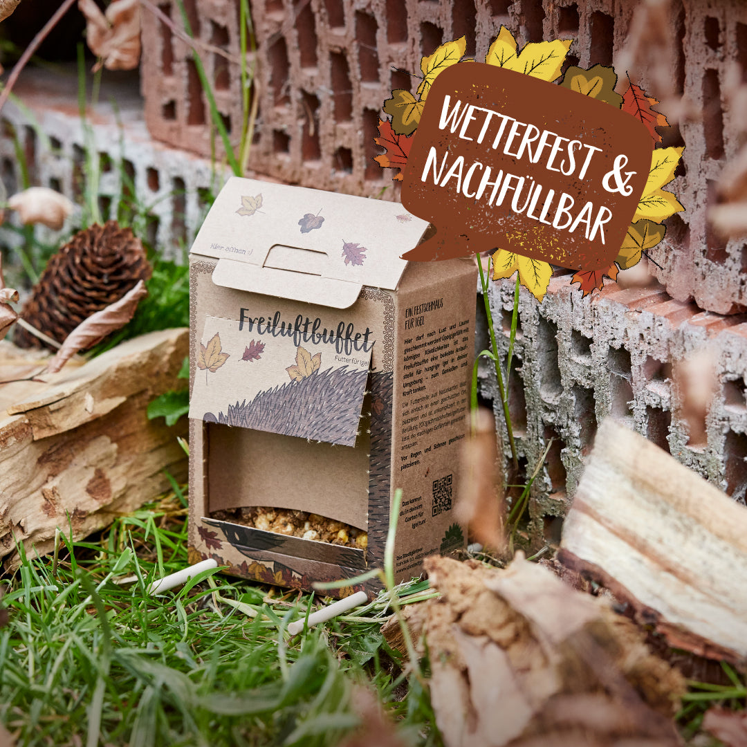 Freiluftbuffet für Igel