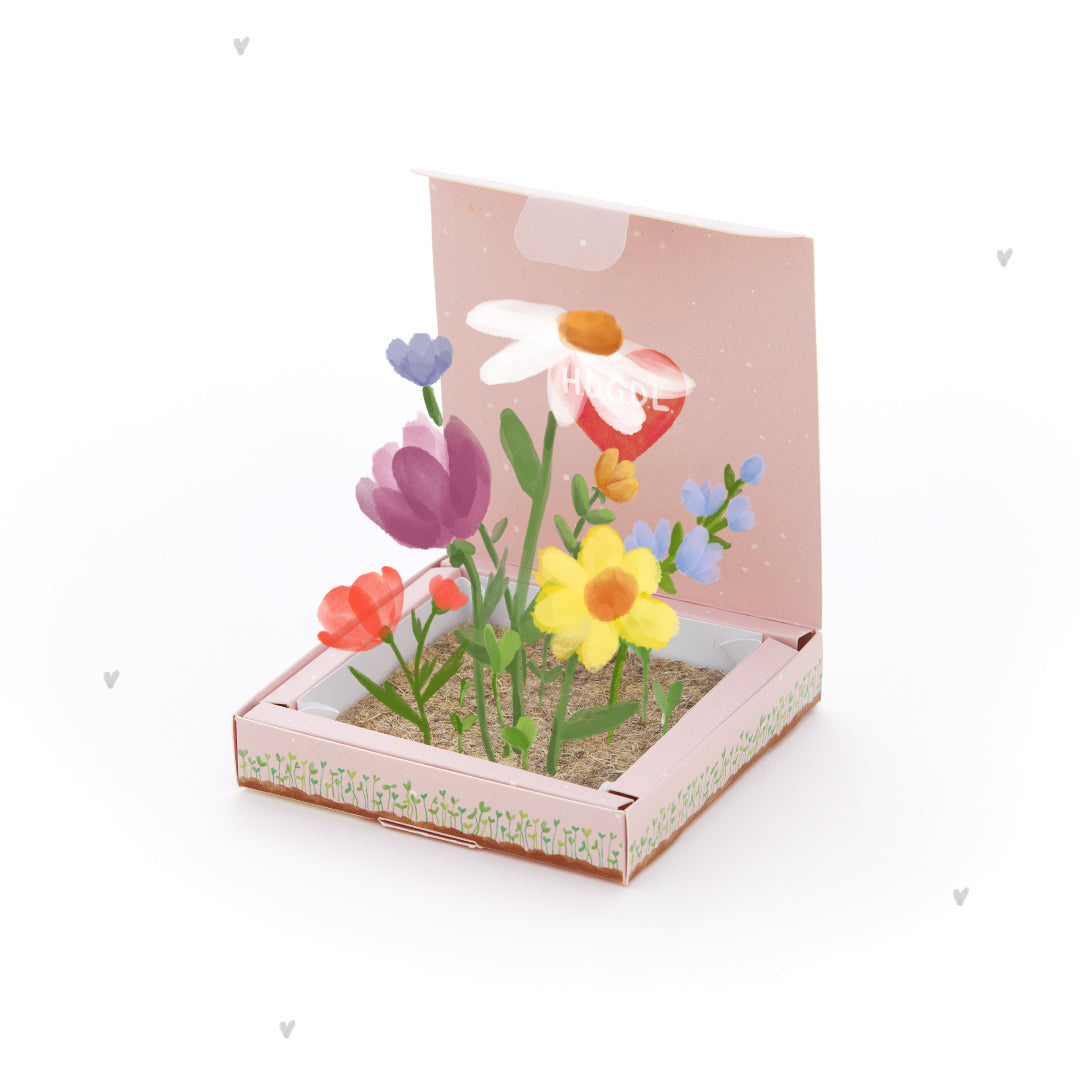 Pflanzkästchen - HDGDL - Hab dich ganz doll lieb