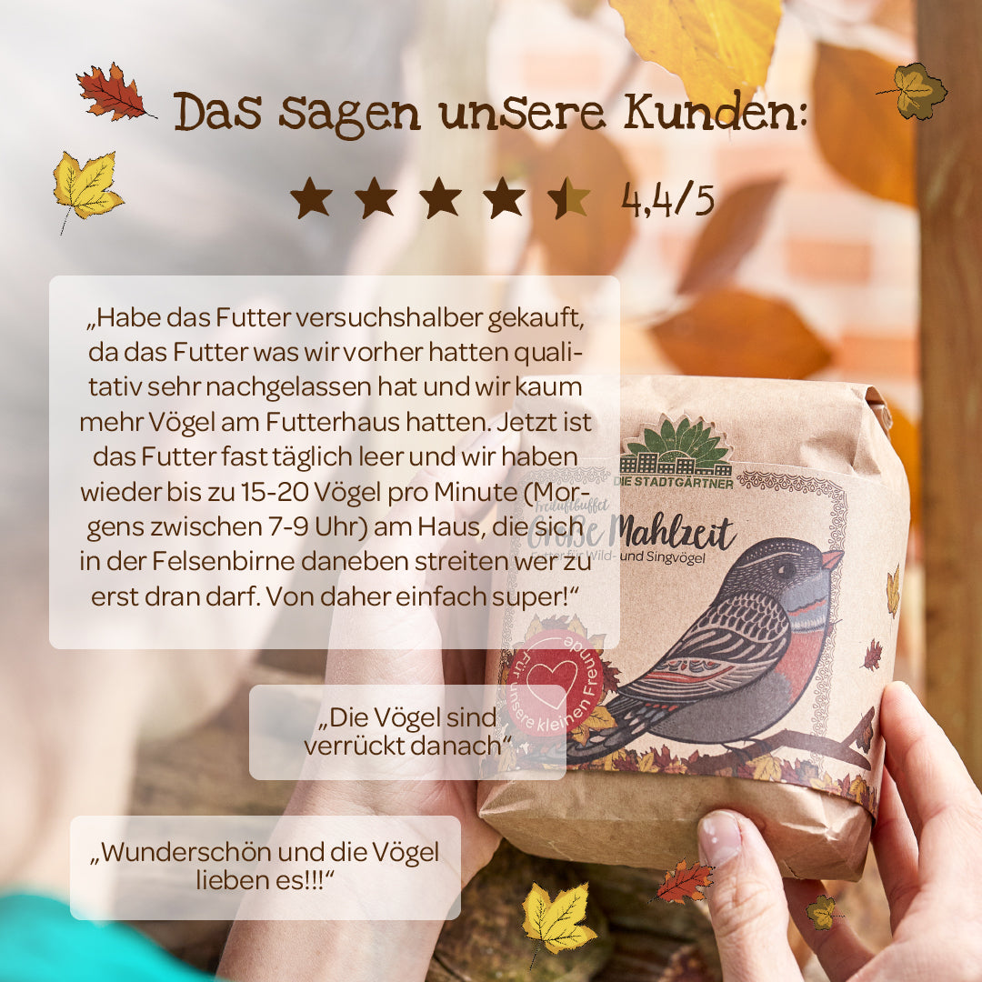 Große Mahlzeit – 1 L Vogelfutter