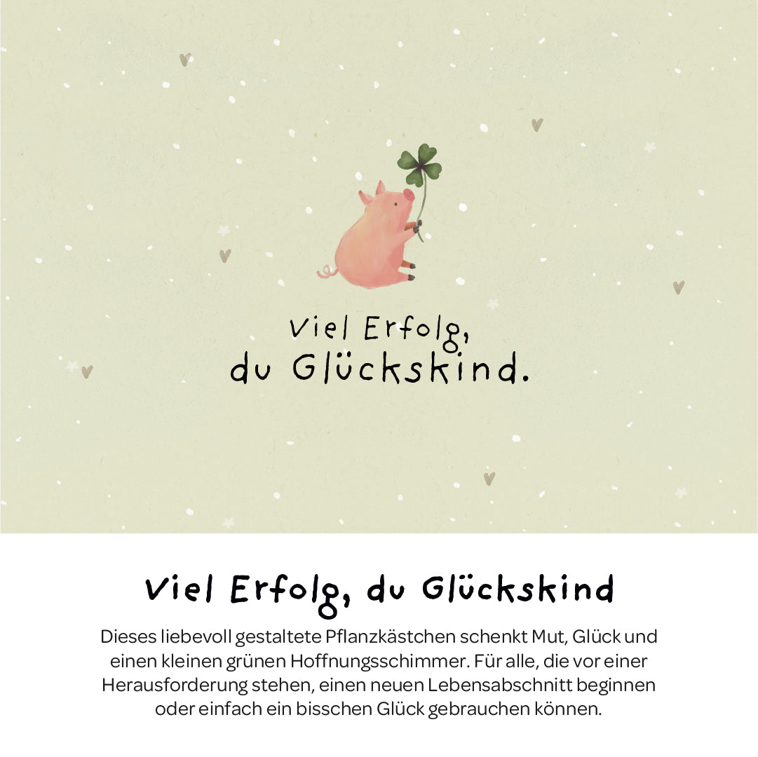 Pflanzkästchen - Viel Erfolg du Glückskind