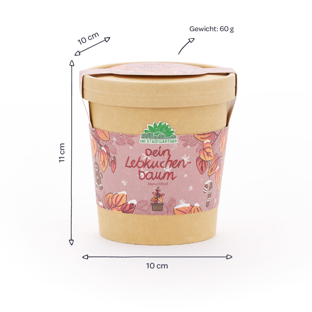 Lebkuchenbaum aus dem Becher