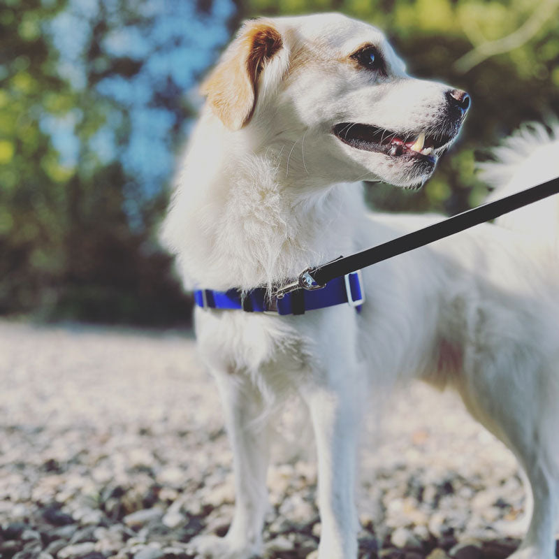 Anti-Stress-Geschirr STURMFREI®, Größe S für Kraftprotze