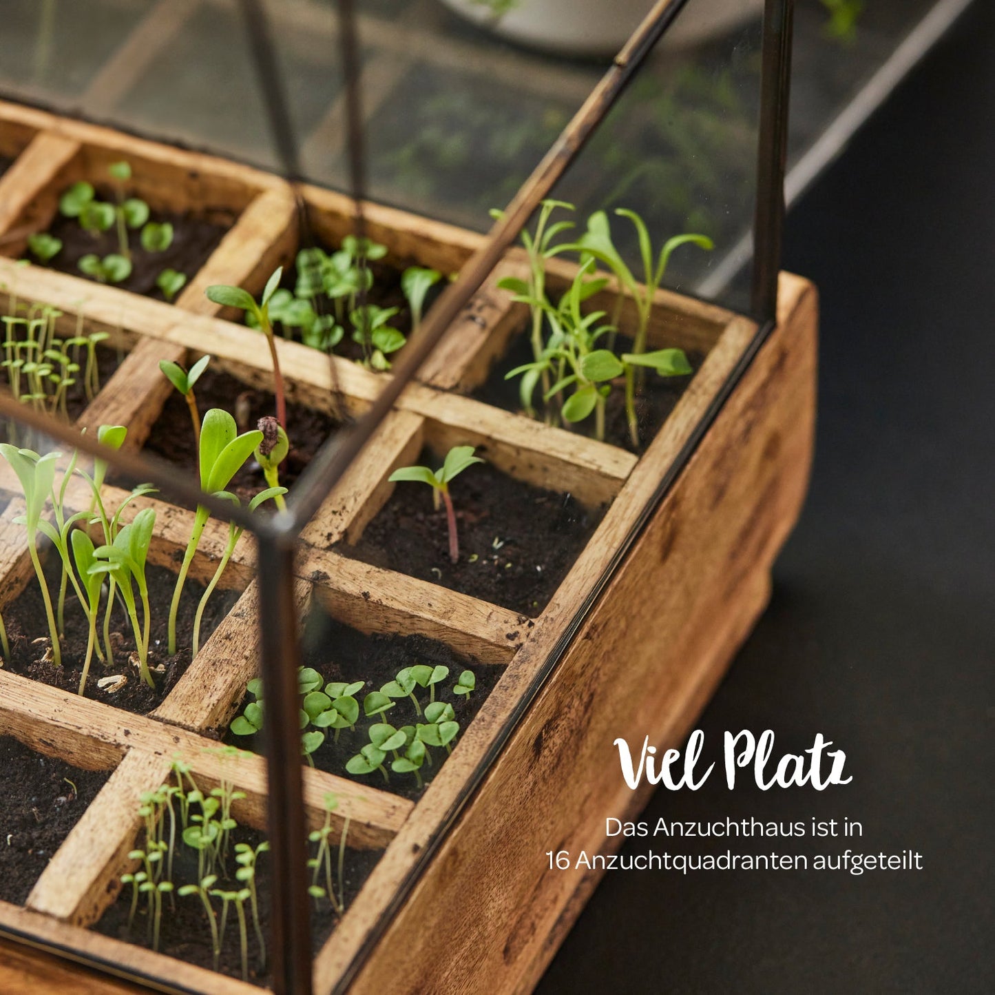 Hochwertiges Anzuchthaus mit 16 Fächern