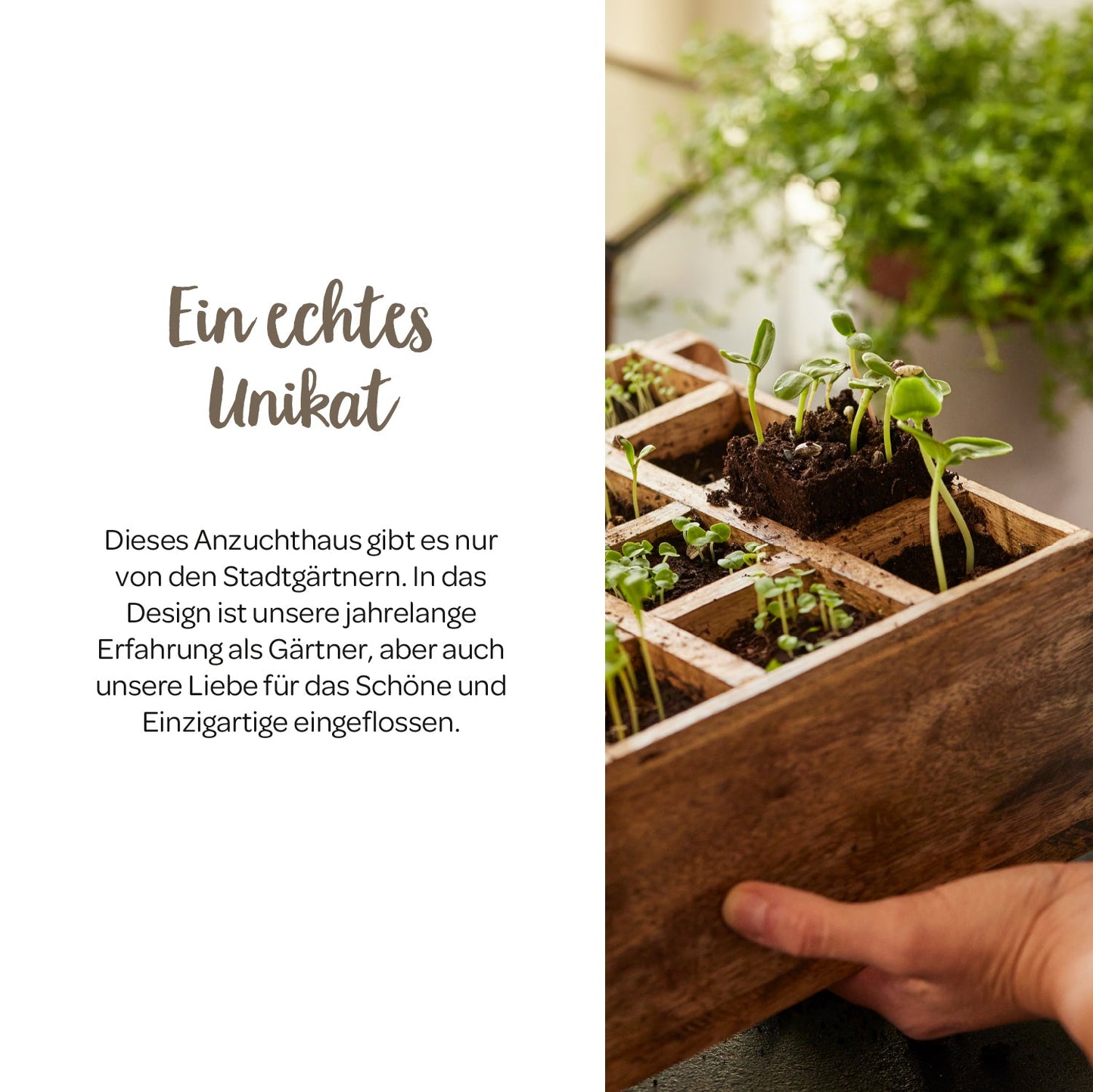 Hochwertiges Anzuchthaus mit 16 Fächern