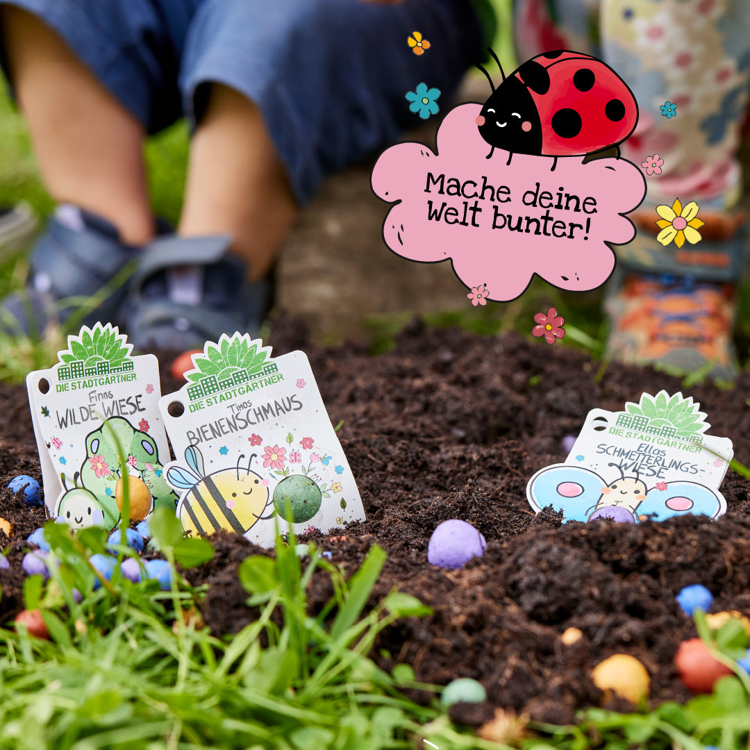 1 Blumenmurmel "Ellas Schmetterlingswiese"