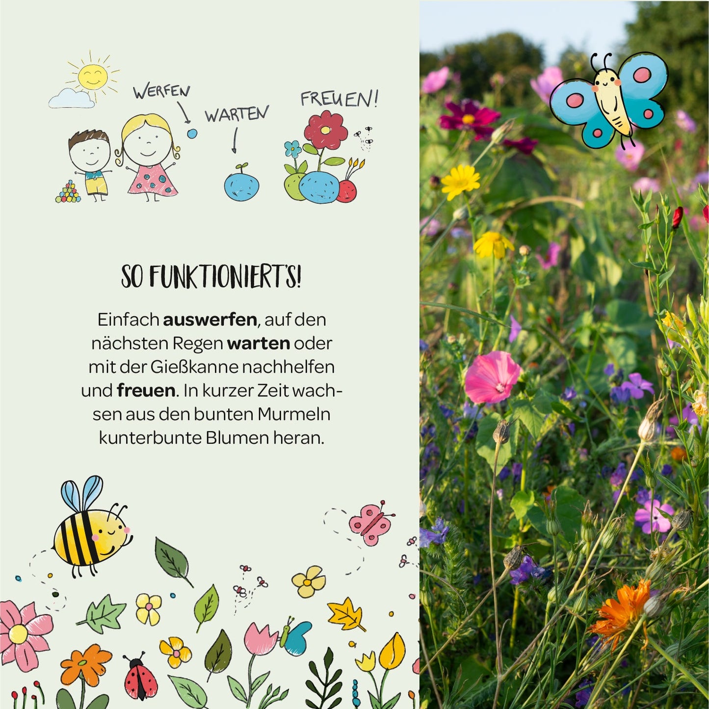 3 x 1 Blumenmurmel – Alle Sorten