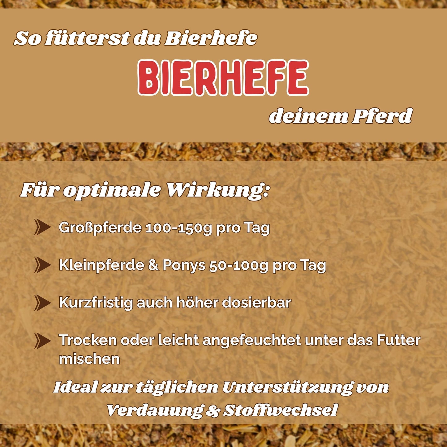 BT Bierhefe Pferd – bei Kotwasser, Fellwechsel & Aufbau der Darmflora