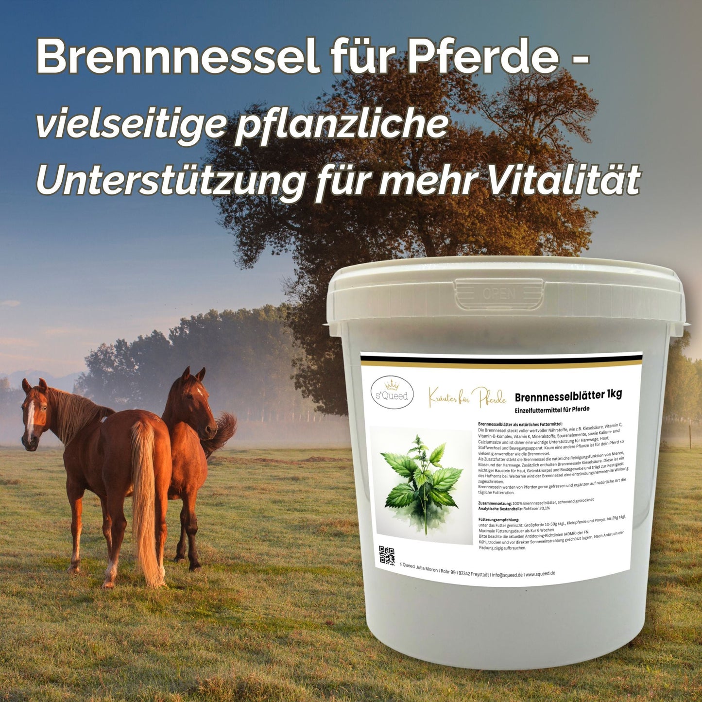 Brennnessel für Pferde für Niere, Stoffwechsel, Gelenke & Haut