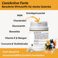 CaniActive Forte - Arthrose Hund - Grünlippmuschel Hund - MSM Hund - Glucosamin Hund