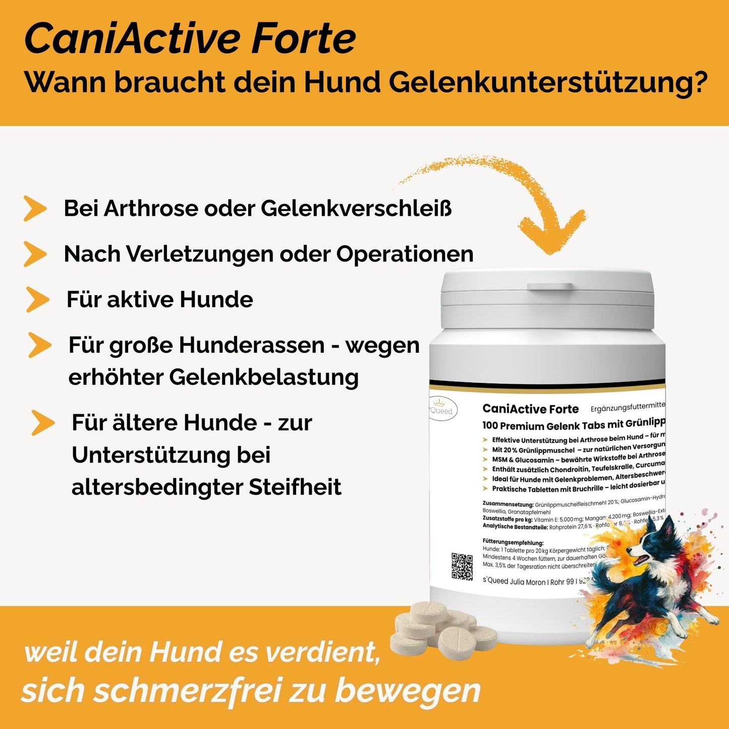 CaniActive Forte - Arthrose Hund - Grünlippmuschel Hund - MSM Hund - Glucosamin Hund