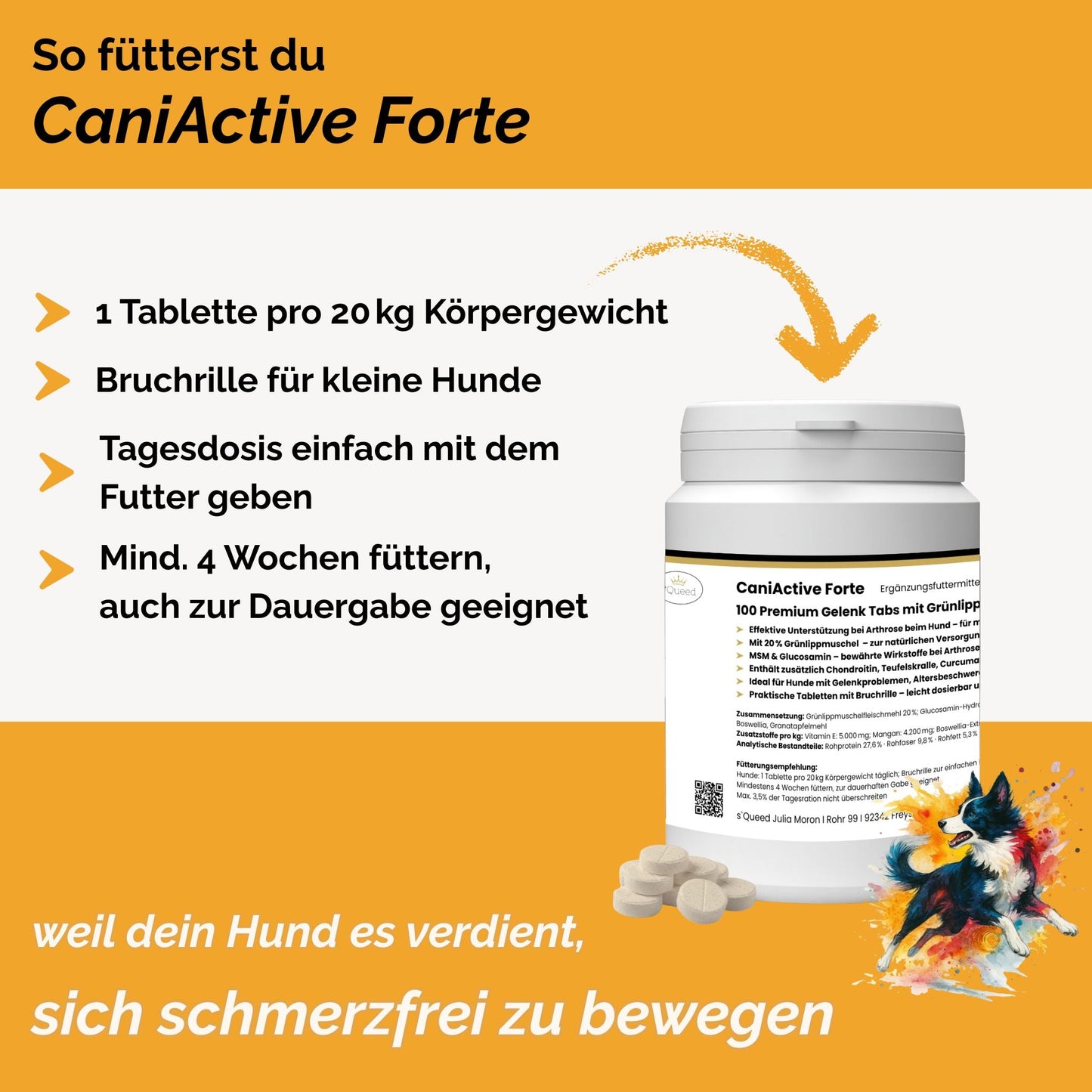 CaniActive Forte - Arthrose Hund - Grünlippmuschel Hund - MSM Hund - Glucosamin Hund