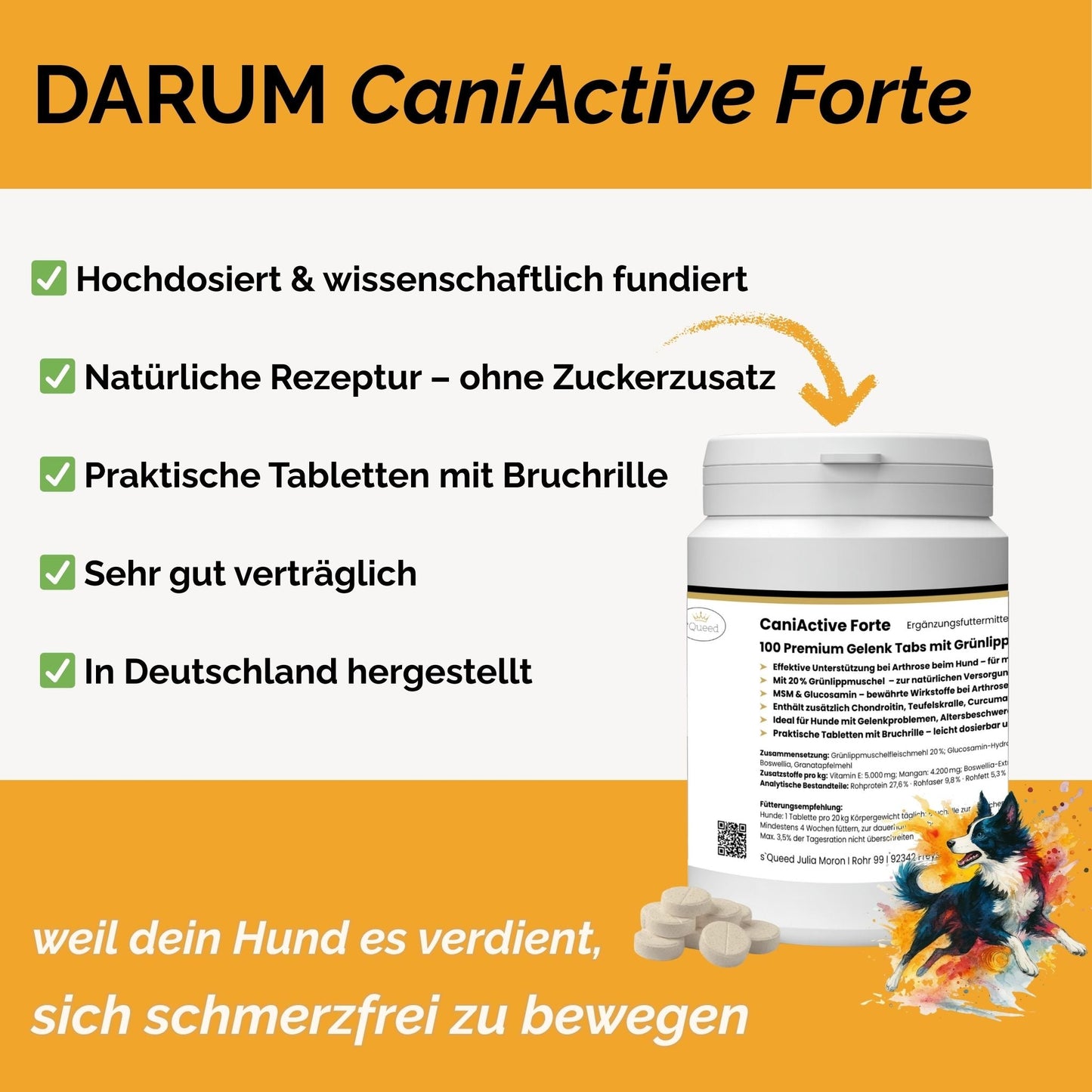 CaniActive Forte - Arthrose Hund - Grünlippmuschel Hund - MSM Hund - Glucosamin Hund