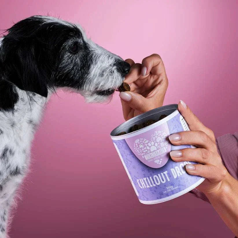 Chillout DROPS zur sanften Beruhigung und Entspannung von Tierliebhaber