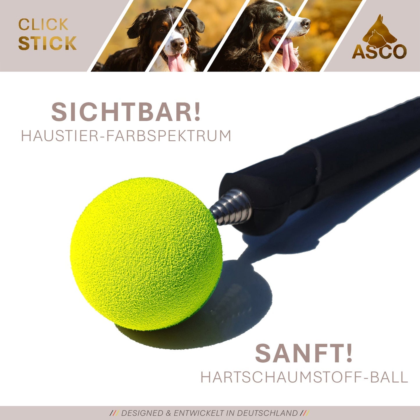 ASCO ClickStick - Target Stick mit abnehmbarem Premium Clicker - Target Stab für Hunde Katzen Clickertraining - Targetstick ausziehbar mit extra Klicker - Targetstab für Target-Training