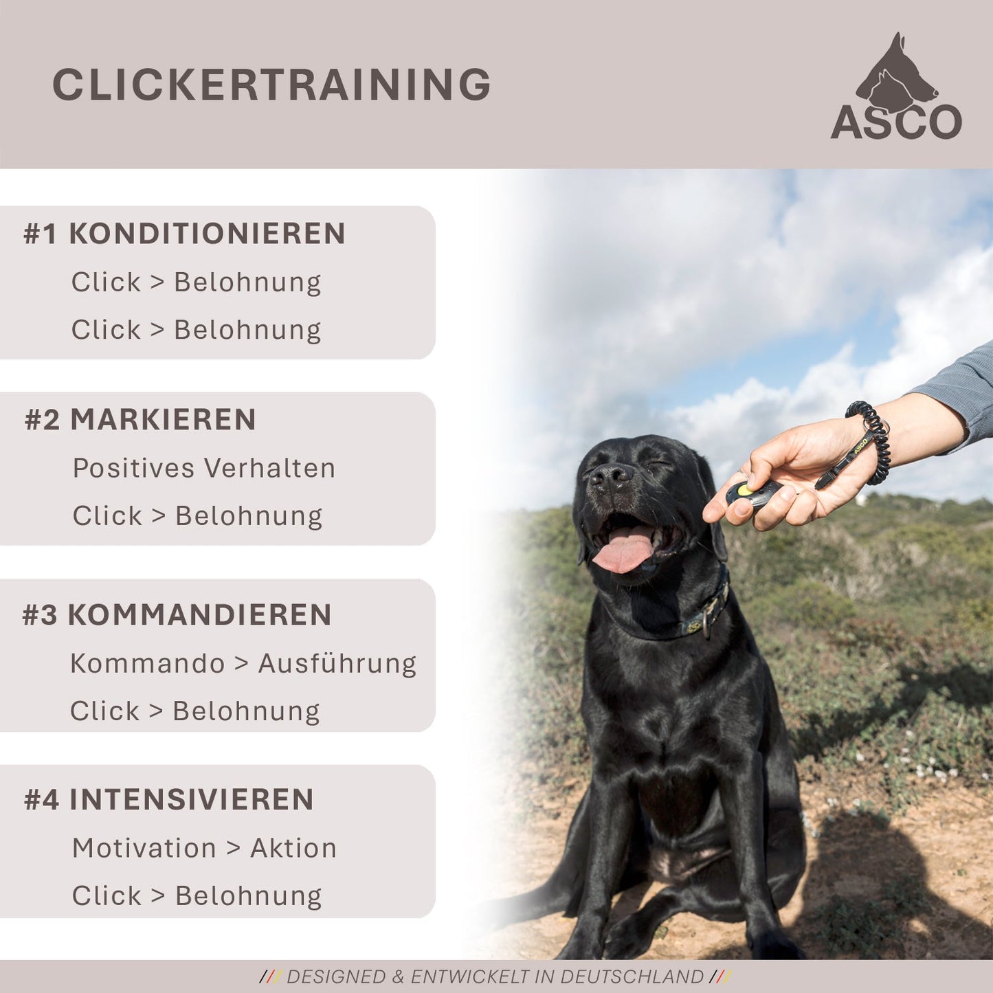 ASCO Target Stick - Target Stab für Hunde Katzen Targettraining - Targetstick ausziehbar mit Softball - Edelstahl Targetstab mit Teleskopfunktion
