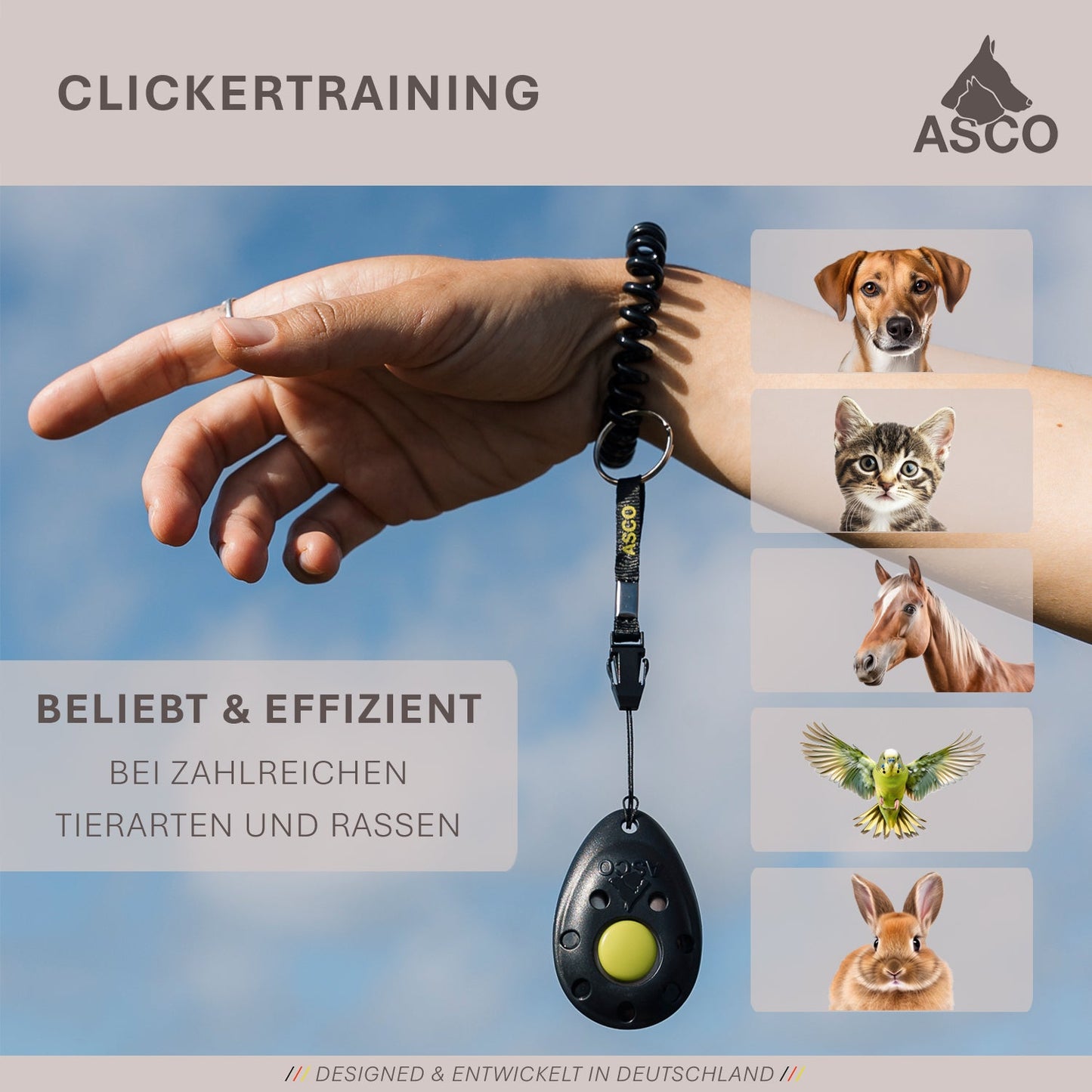 ASCO Premium Clicker – Clickertraining Profi Klicker für Hunde, Katzen, Pferde