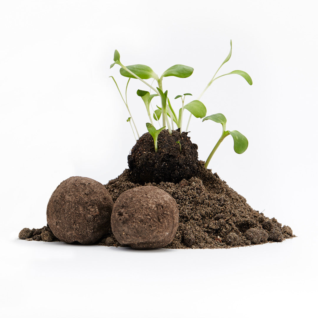 Lose Wildblumen-Samenbomben, unverpackt