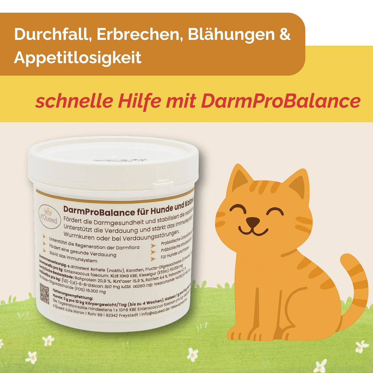 Darmpulver Katze - Durchfall und  Erbrechen Katze -Darmflora Katze aufbauen