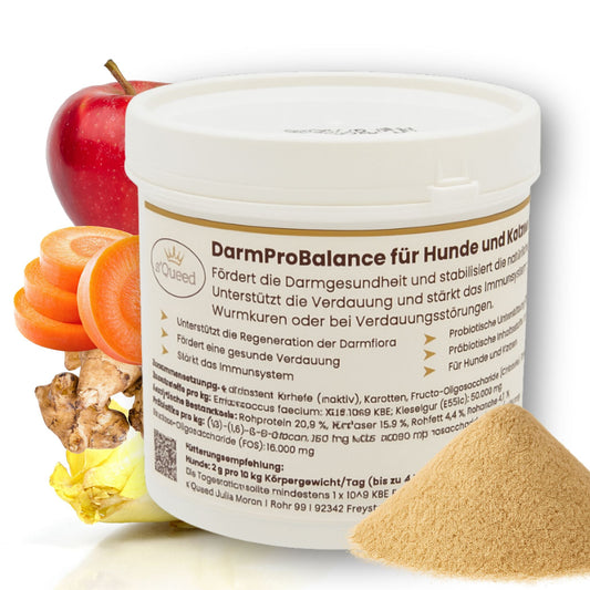 Darmpulver Katze - Durchfall und  Erbrechen Katze -Darmflora Katze aufbauen