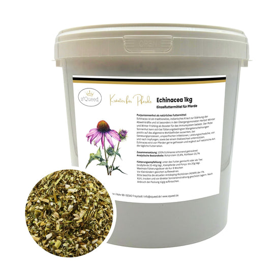 Echinacea Pferd - Zusatzfutter Immunsystem Pferd
