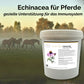 Echinacea Pferd - Zusatzfutter Immunsystem Pferd