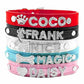 Edles Hundehalsband personalisiert mit Glitzersteinen + Symbol