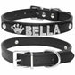 Edles Hundehalsband personalisiert mit Glitzersteinen + Symbol