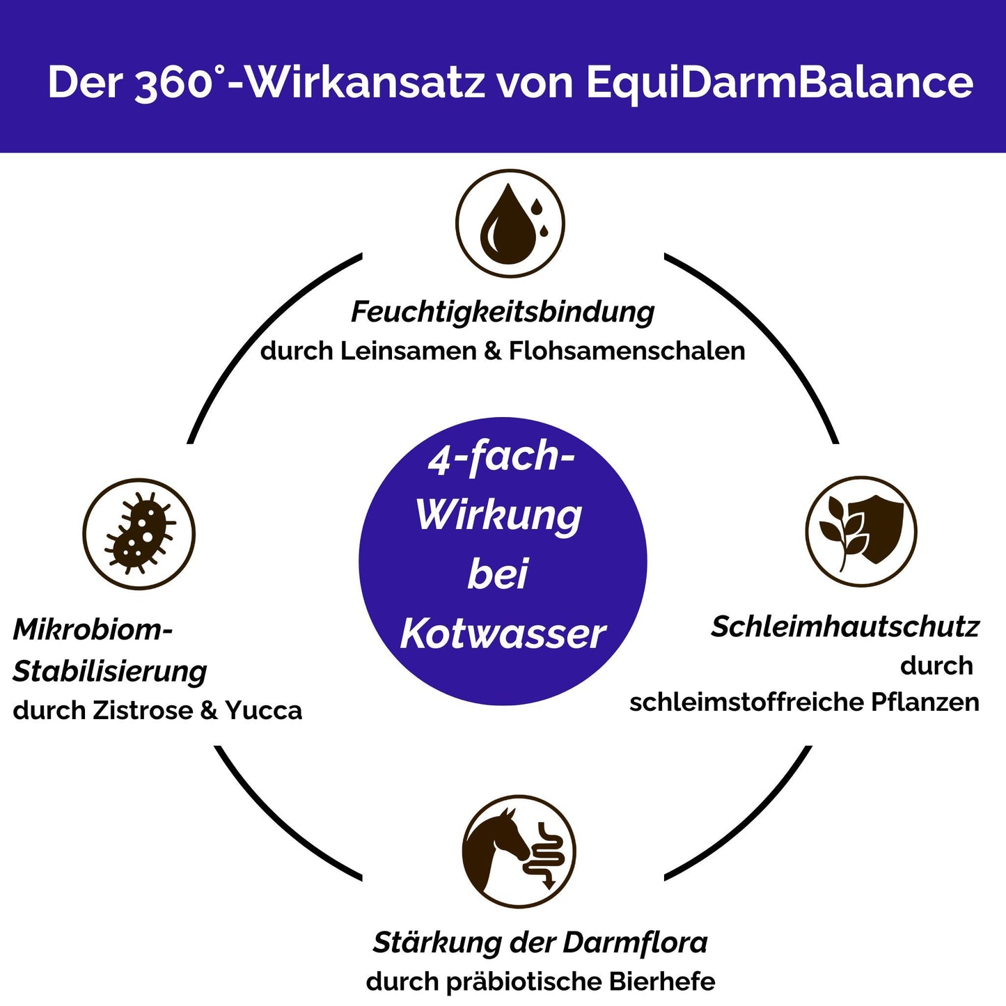 EquiDarmBalance – natürliches Zusatzfutter für Pferde bei Kotwasser & Durchfall