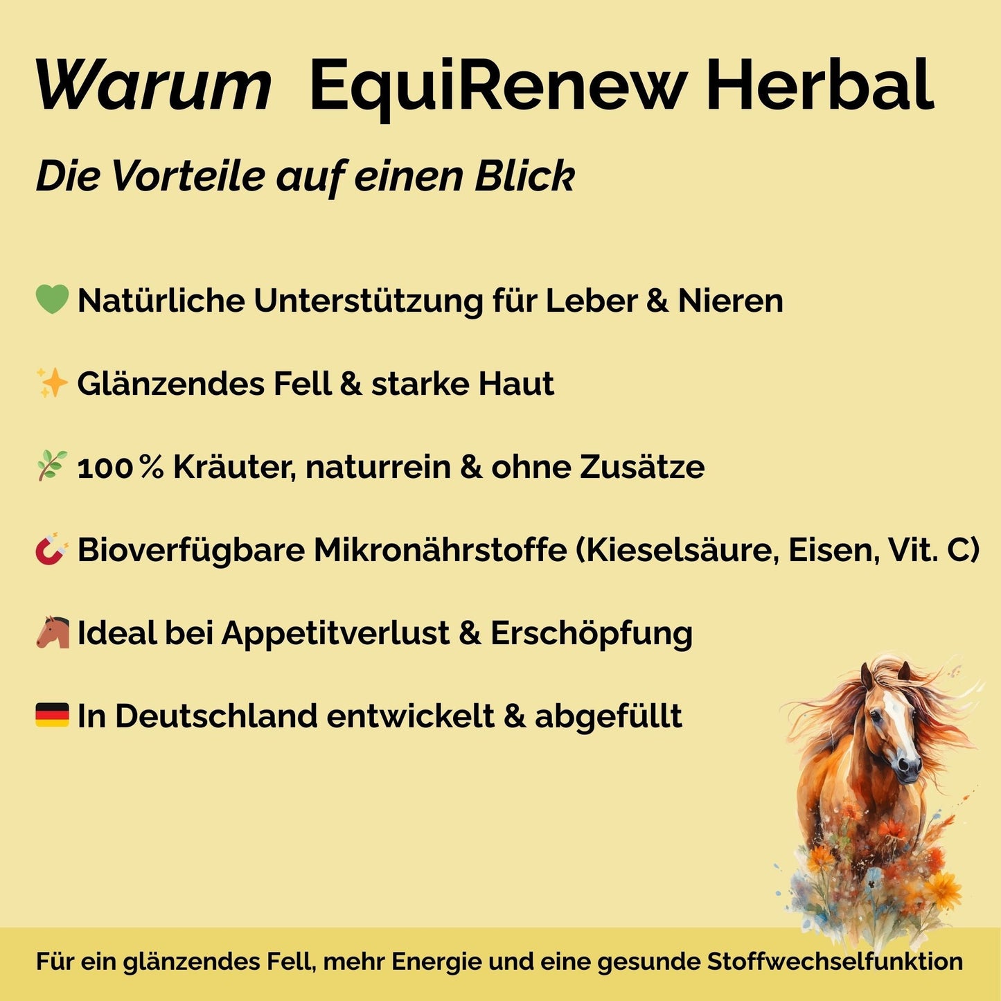 EquiRenew Herbal - Fellwechsel beim Pferd unterstützen
