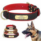 Exklusives Leder Hundehalsband mit Namen und Telefon graviert